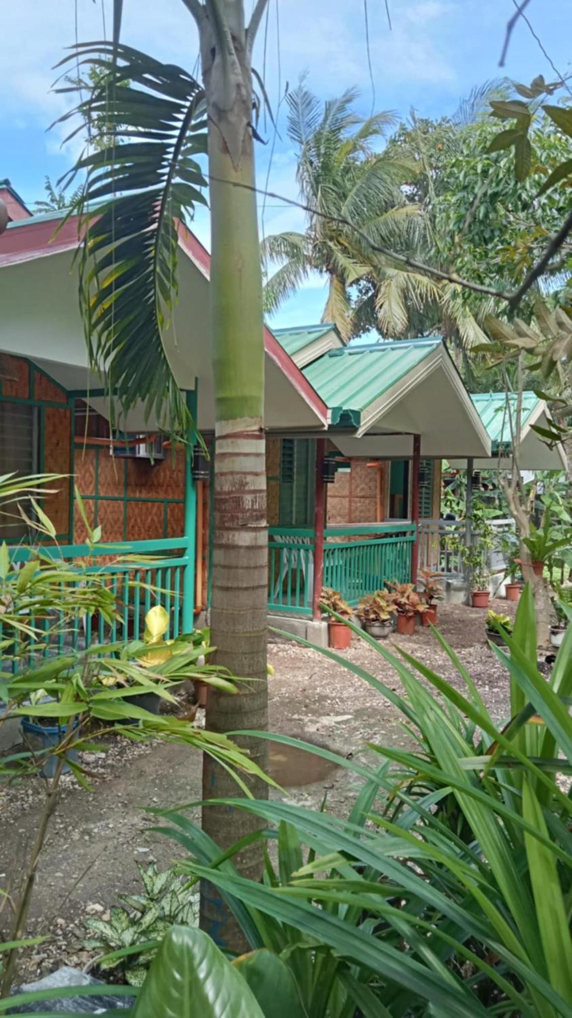 Bohol Triple M Tourist Inn Tagbilaran City Bagian luar foto